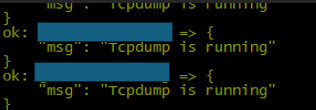 TCPdump status output