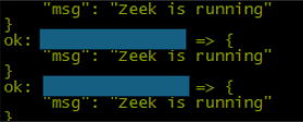 Zeek status output