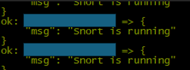 Snort status output