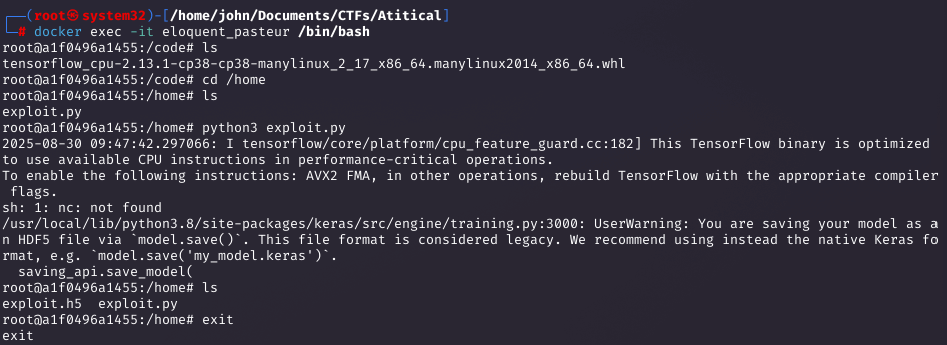 Container run and model creation