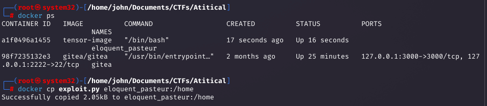 Container run and model creation