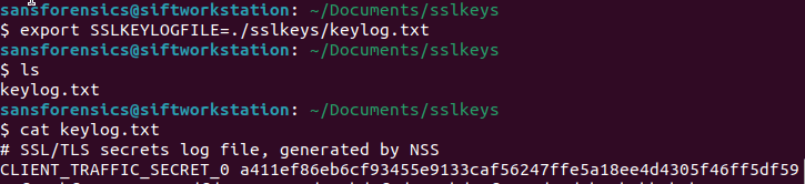 Terminal showing SSLKEYLOGFILE exported and keylog output