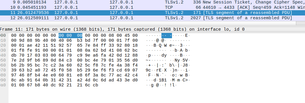 Wireshark hex/ASCII pane — pure ciphertext before decryption