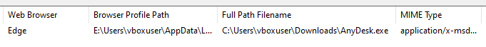 Download details in BrowserDownloadsView showing AnyDesk.exe download at 11:27, succeeded, path C:\Users\vboxuser\Downloads\AnyDesk.exe