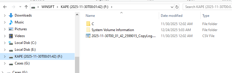 Mounted drives: Logical on E and Triage on F