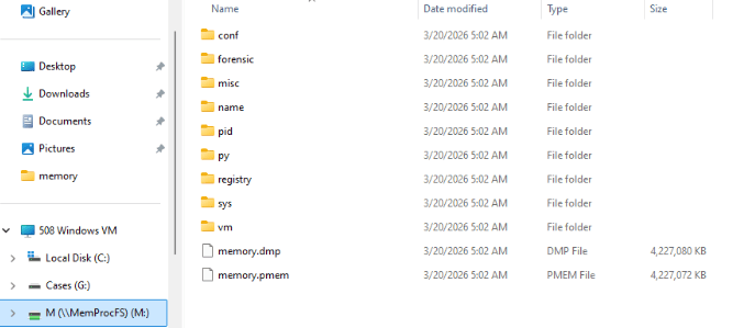 MemProcFS drive