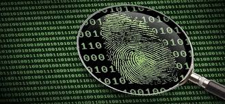 Windows Memory Forensics